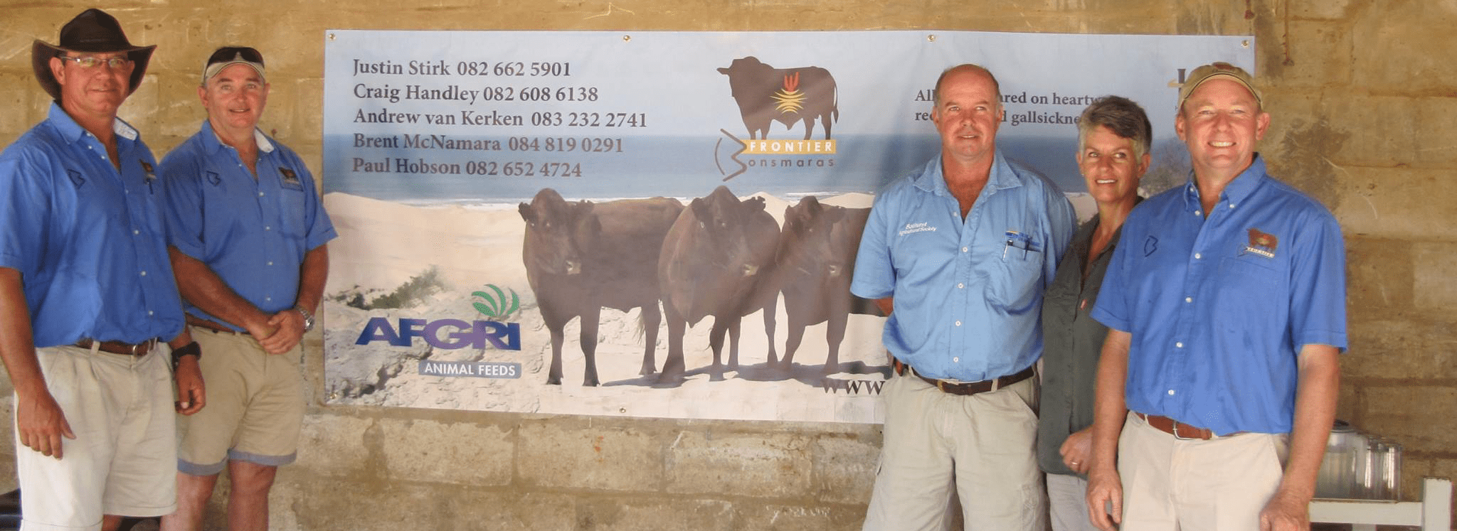 Frontier Bonsmaras News - Livestock Auctions